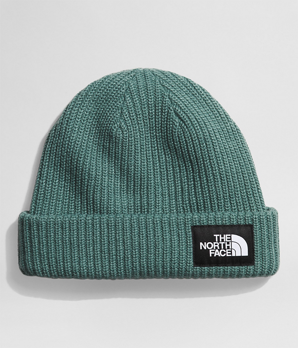 Salty Lined Beanie F24