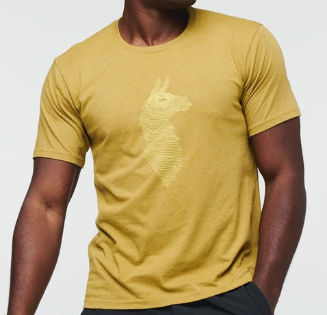 Mens Topo Llama T-Shirt in Hops