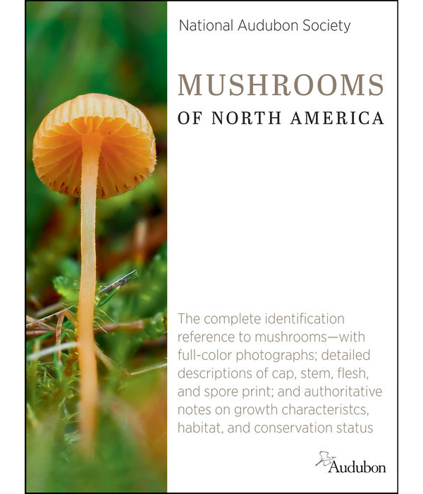 Mushrooms of North America