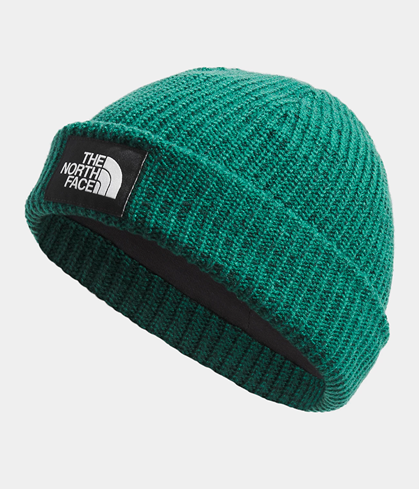 Salty Lined Beanie F24