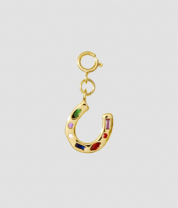 Womens Hair Clip Charm â€” Lucky Horseshoe (Multicolored Gems)