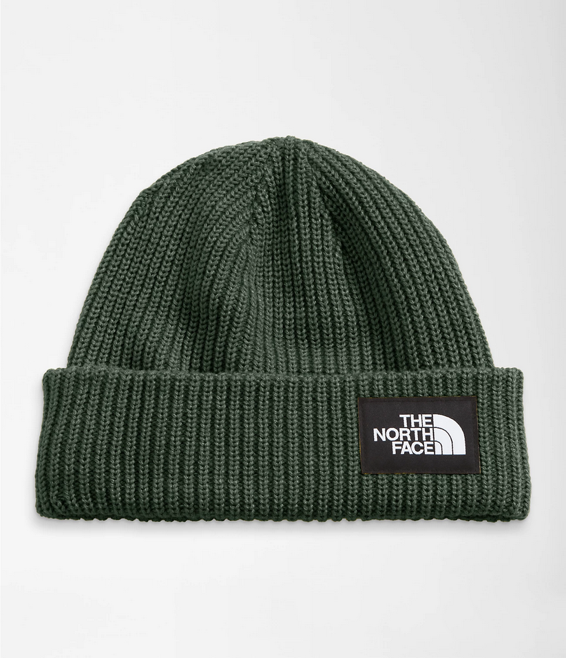 Salty Lined Beanie F24