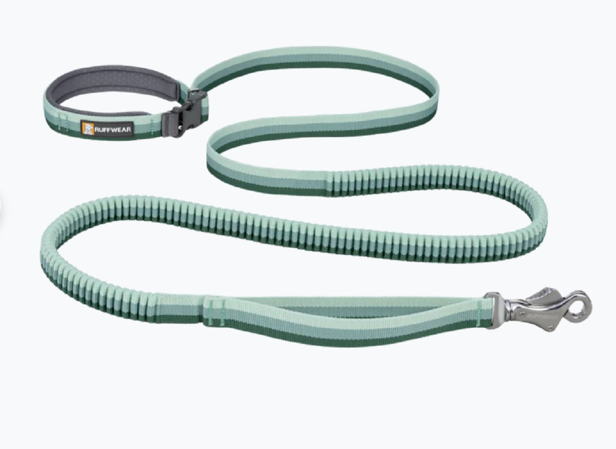 Roamer Leash