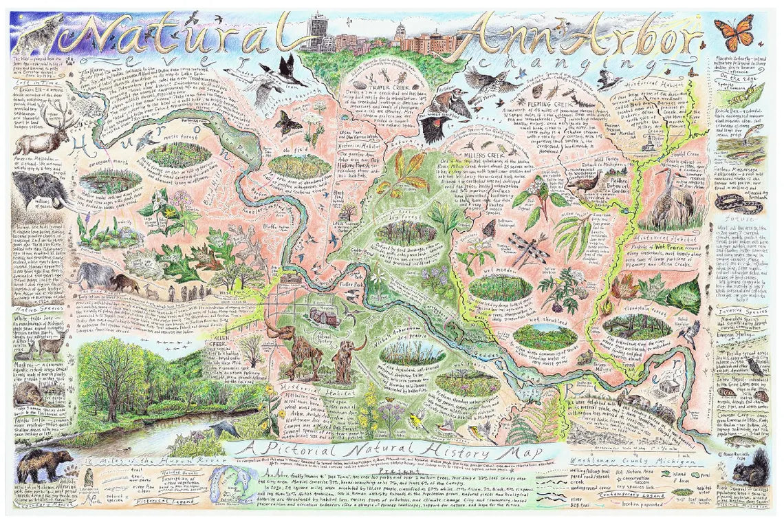Natural Ann Arbor Map - Color