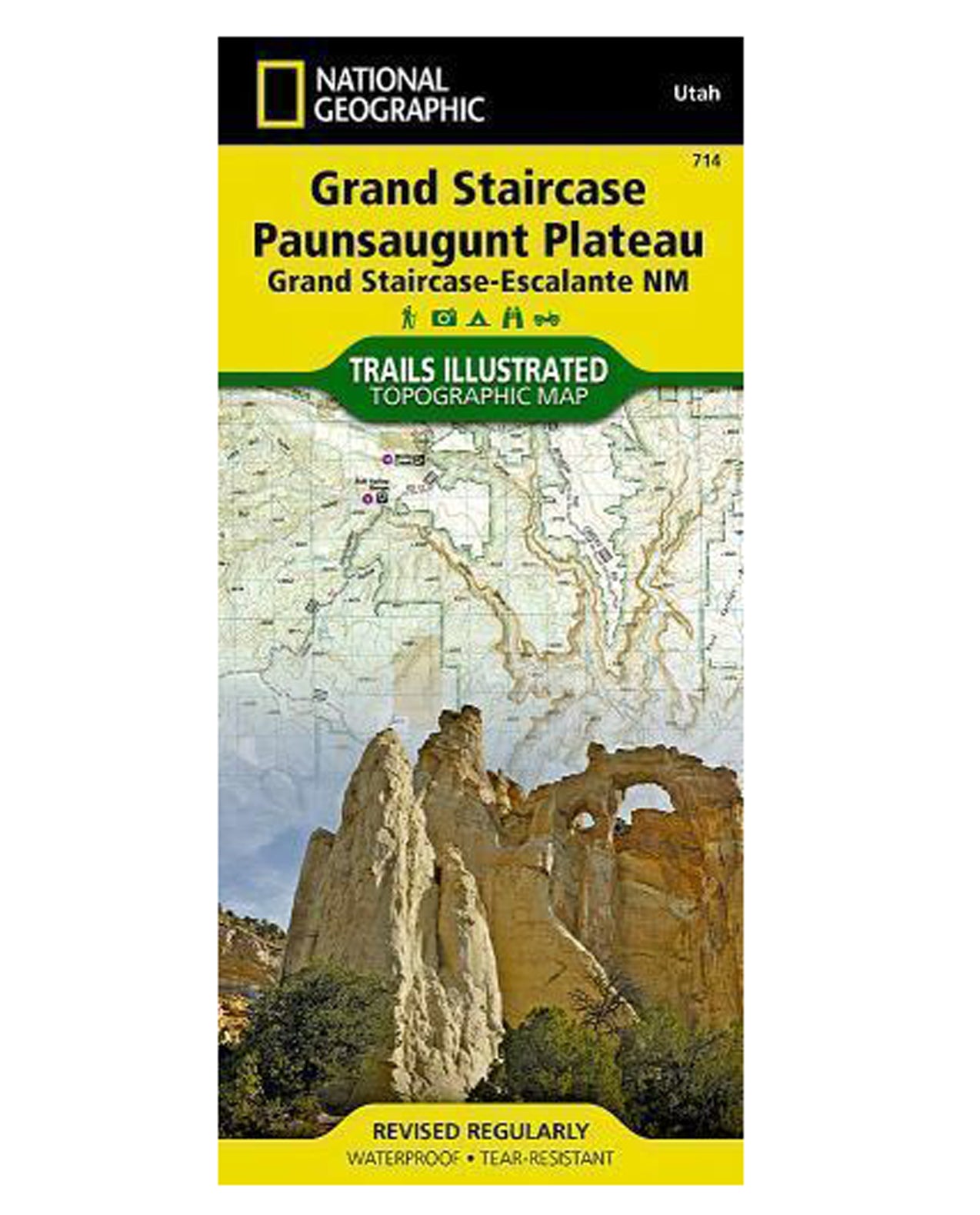 Grand Staircase - Pnsgnt #714