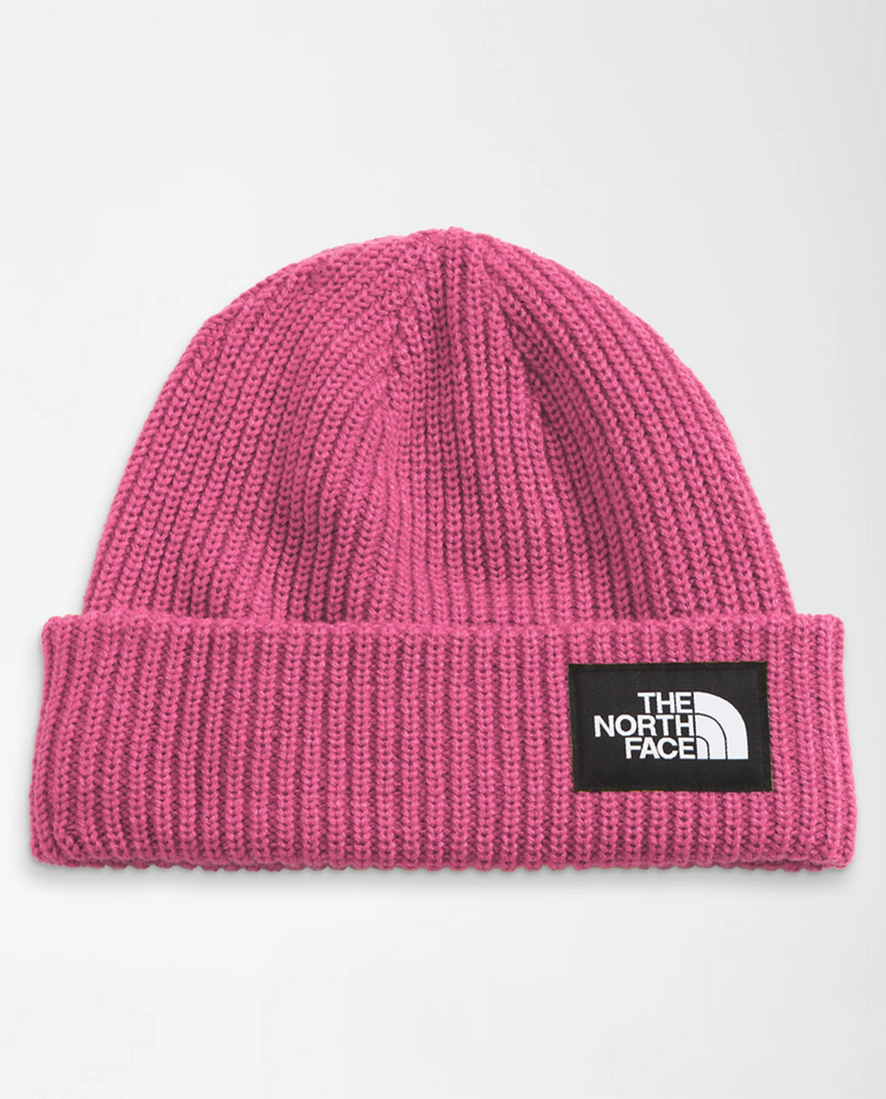 Salty Lined Beanie F24