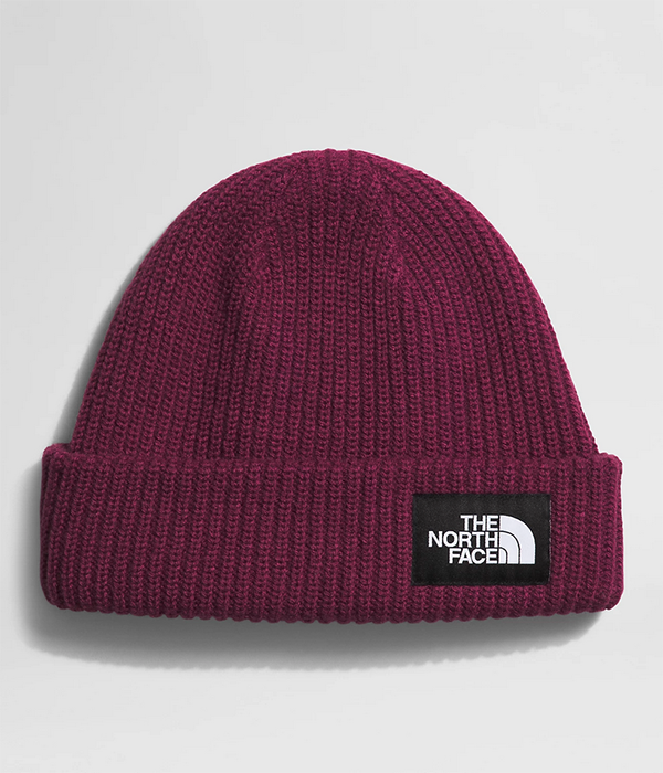 Salty Lined Beanie F24