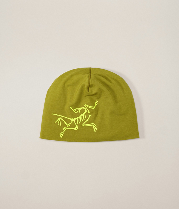 Satoro Merino Toque