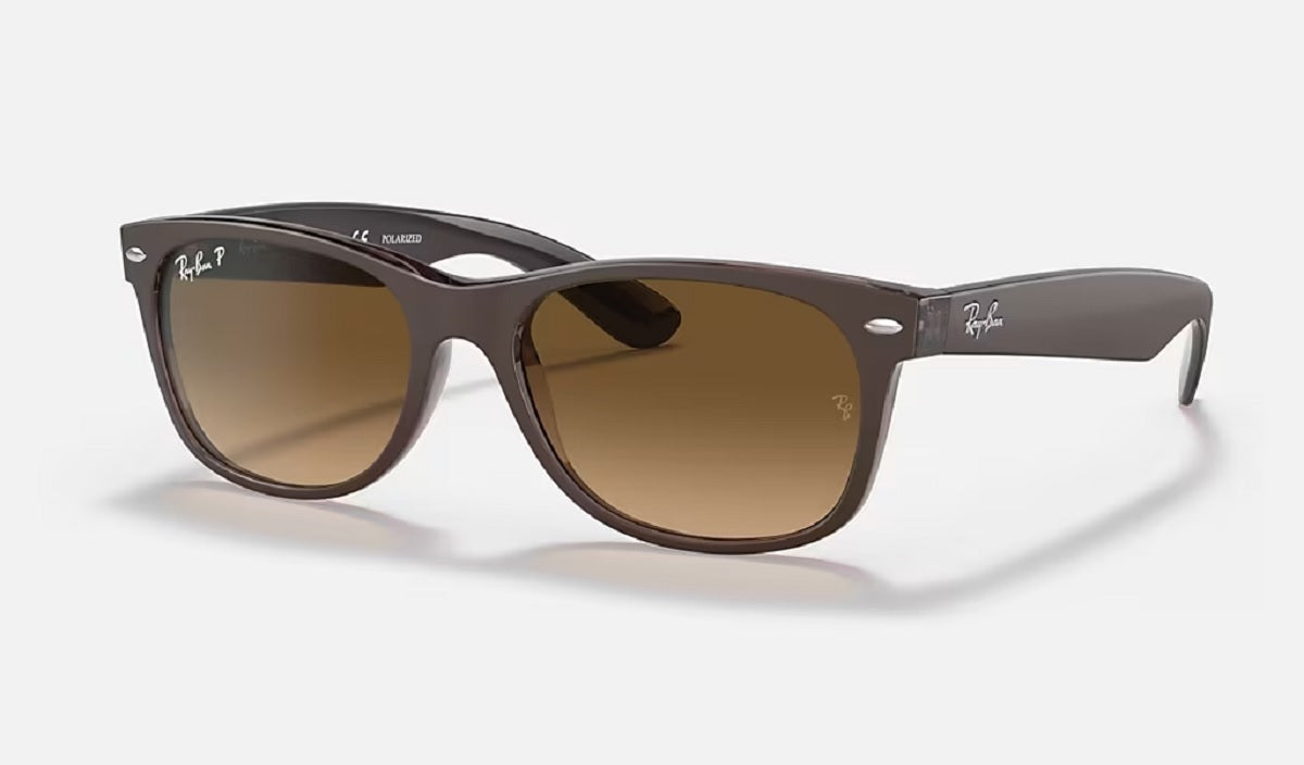 New Wayfarer in Transparent Brown