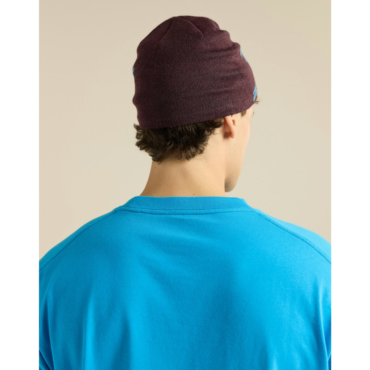 Arcteryx Bird Head Toque S26 - Ultima / Aquaculture
