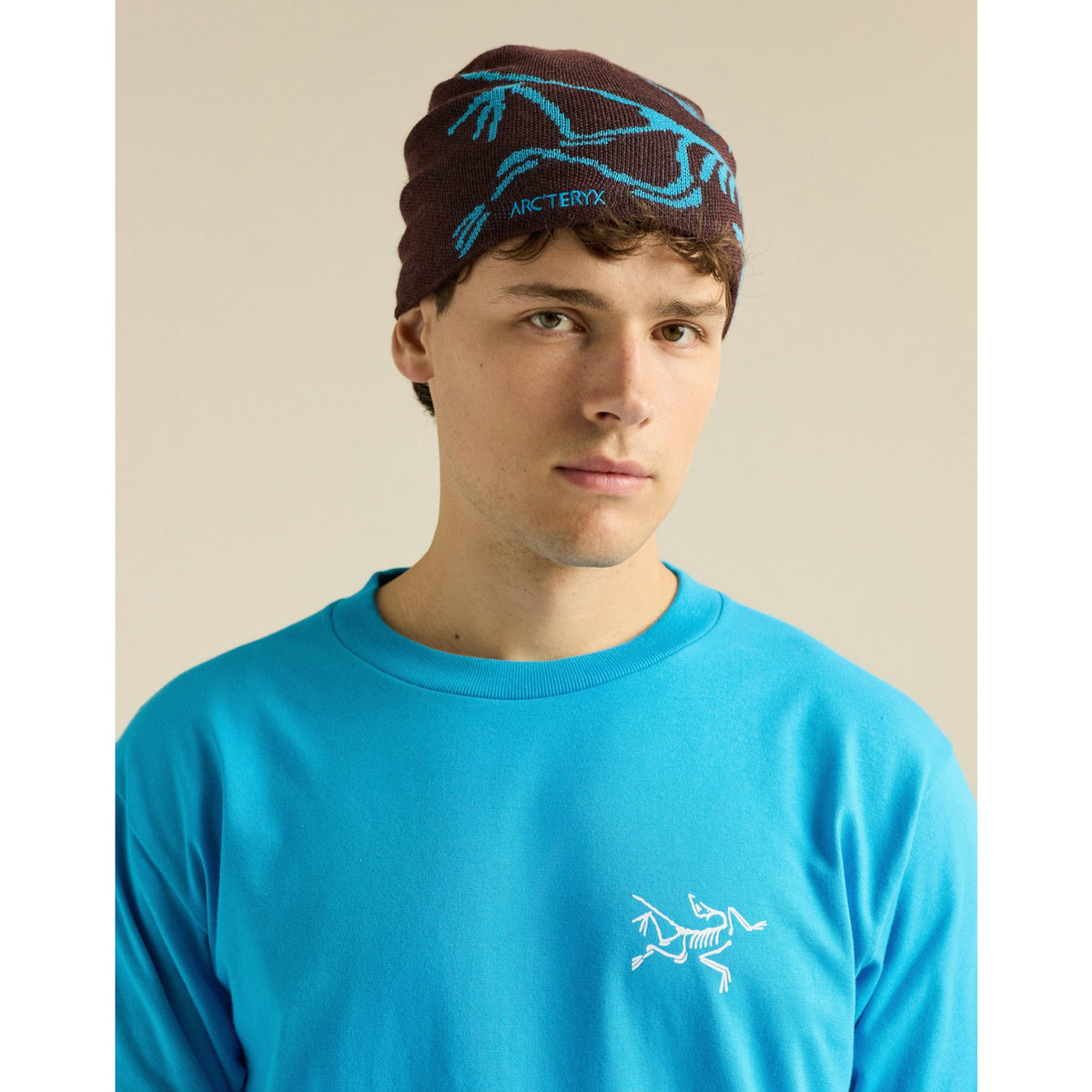 Arcteryx Bird Head Toque S26 - Ultima / Aquaculture