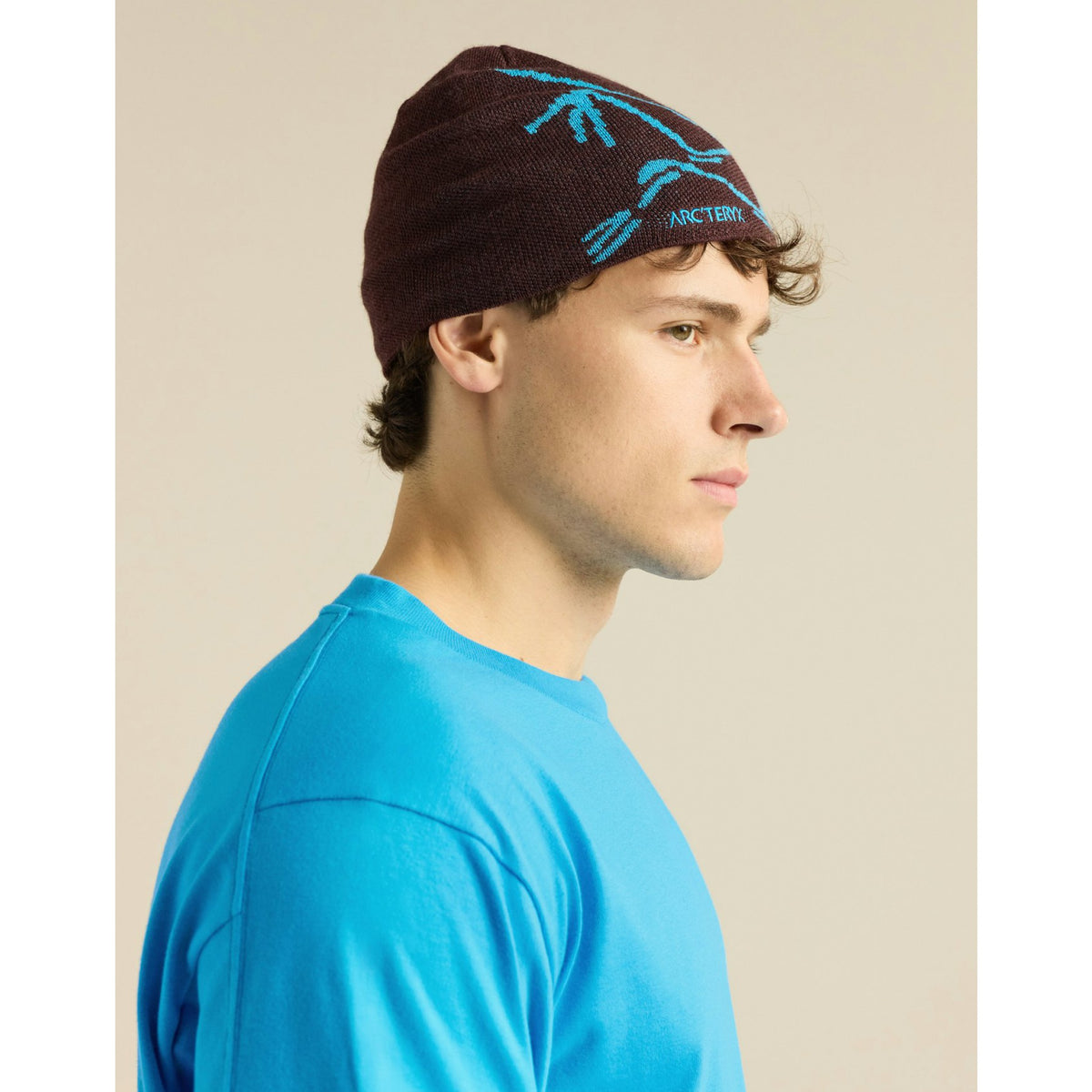 Arcteryx Bird Head Toque S26 - Ultima / Aquaculture