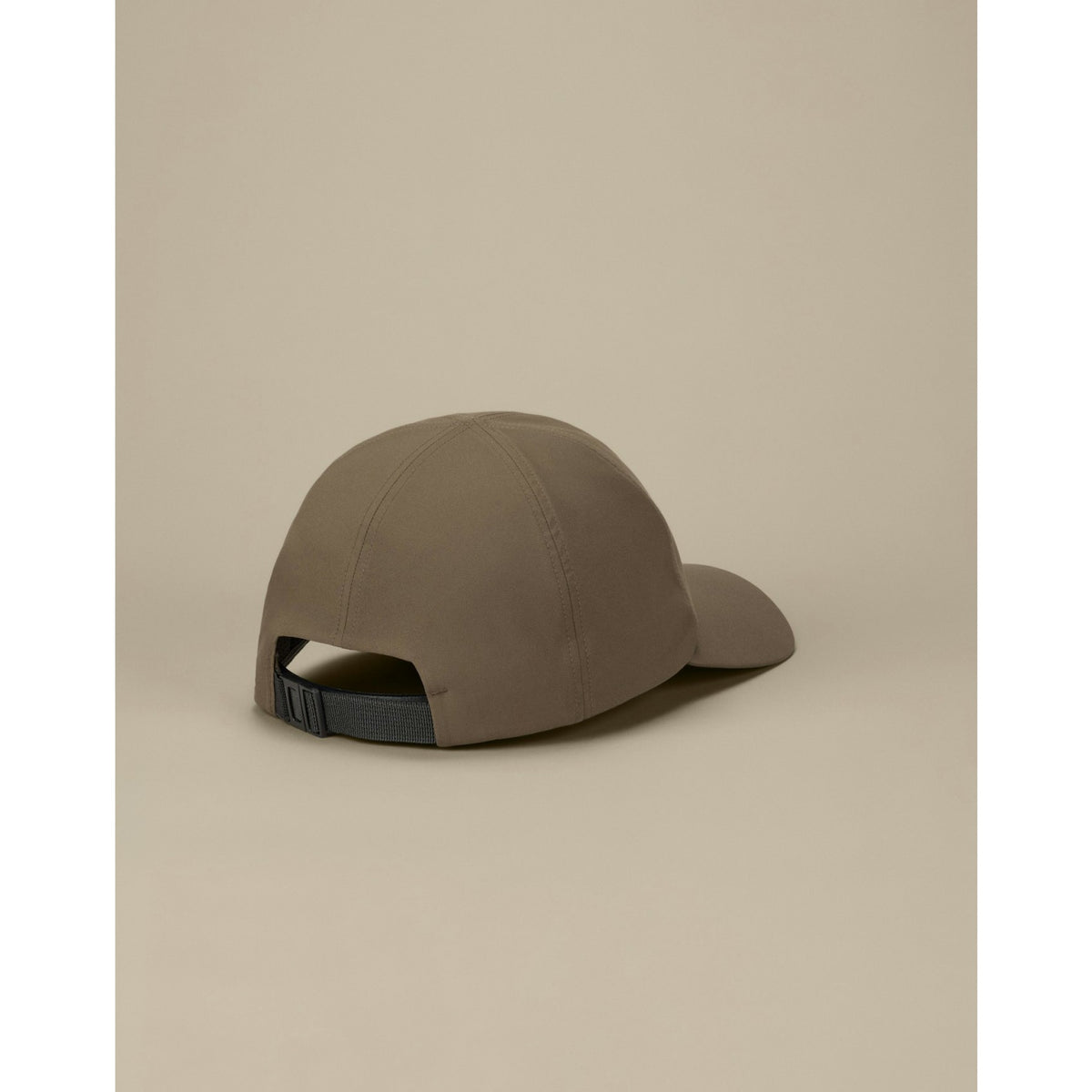 Arcteryx Bird Word Cap F26 - Mongoose