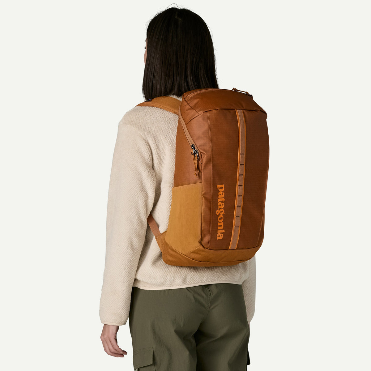 Patagonia Black Hole Pack 25L - SASM_Sastrugi: Summit Blue