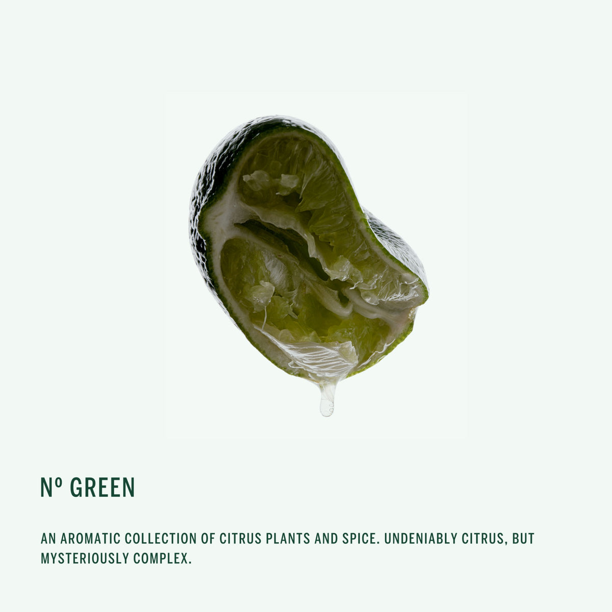 Corpus Body Butter: Nº Green (2oz) - Bergamot, Orange Blossom