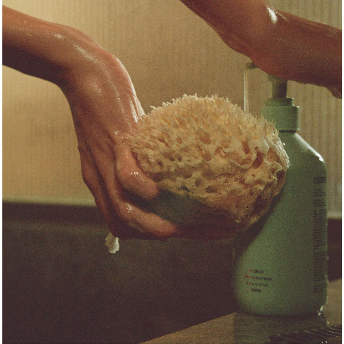 Corpus Body Wash: Santalum - Sandalwood, Cedar, Amber