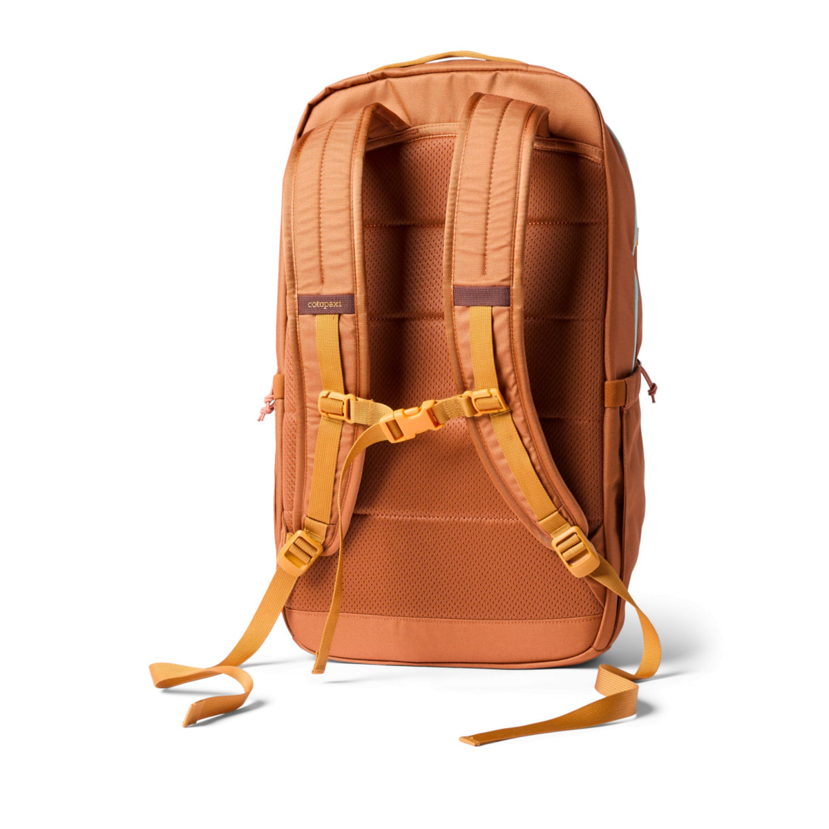 Cotopaxi Chiquillo 26L Backpack - Cada Dia