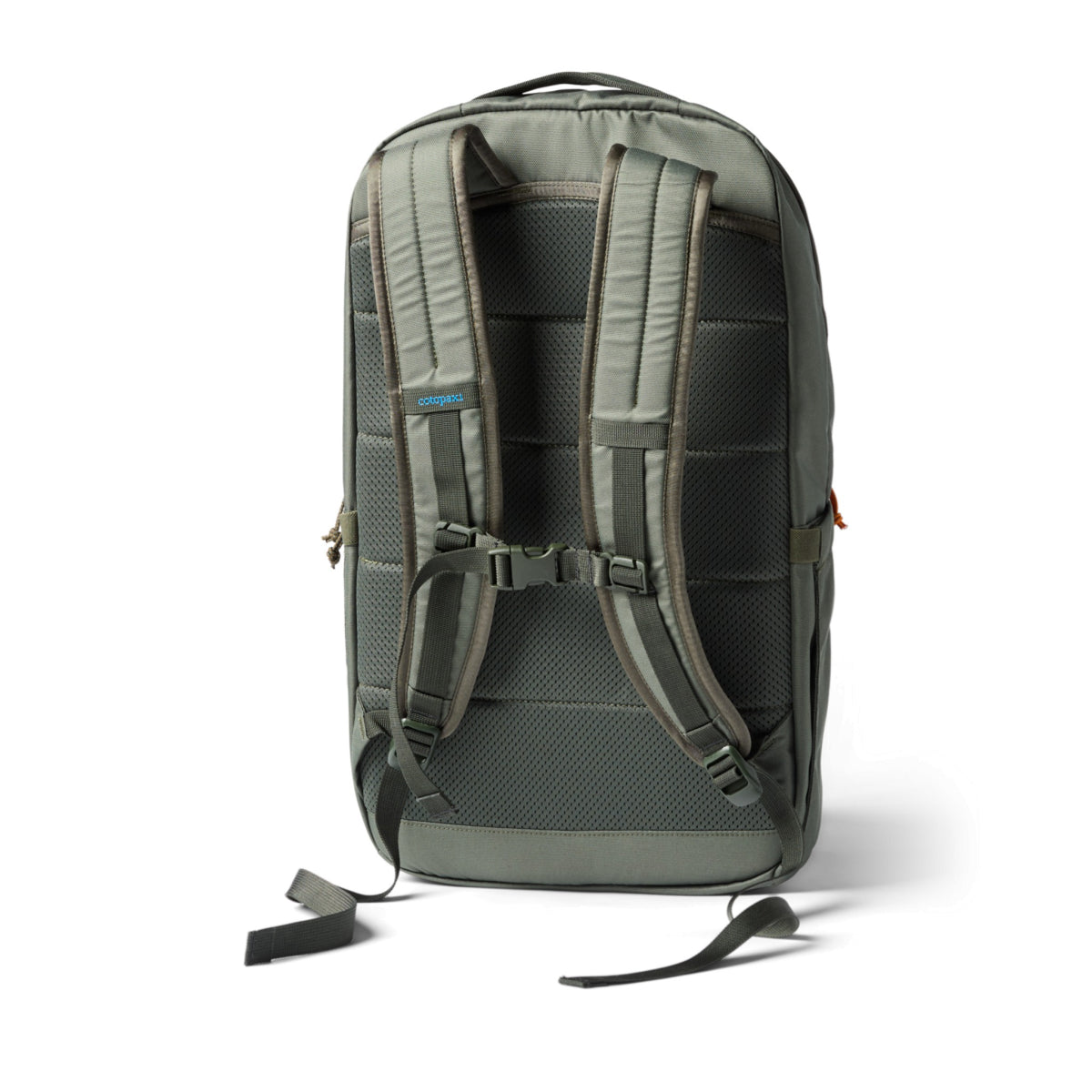 Cotopaxi Chiquillo 26L Backpack - Cada Dia