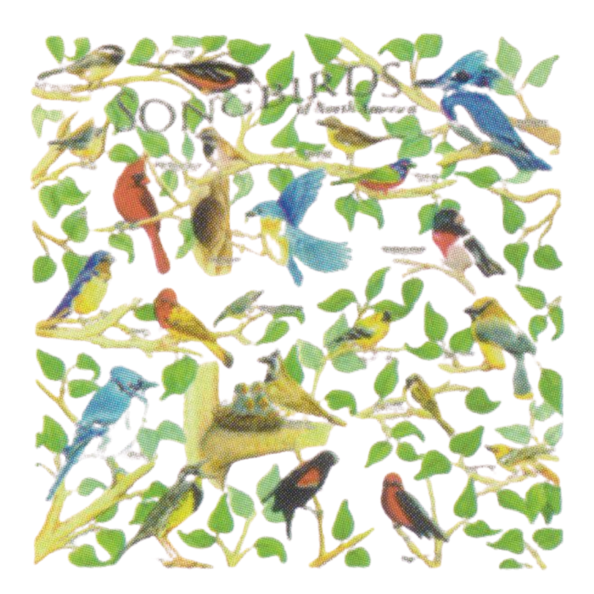 Songbirds Bandana