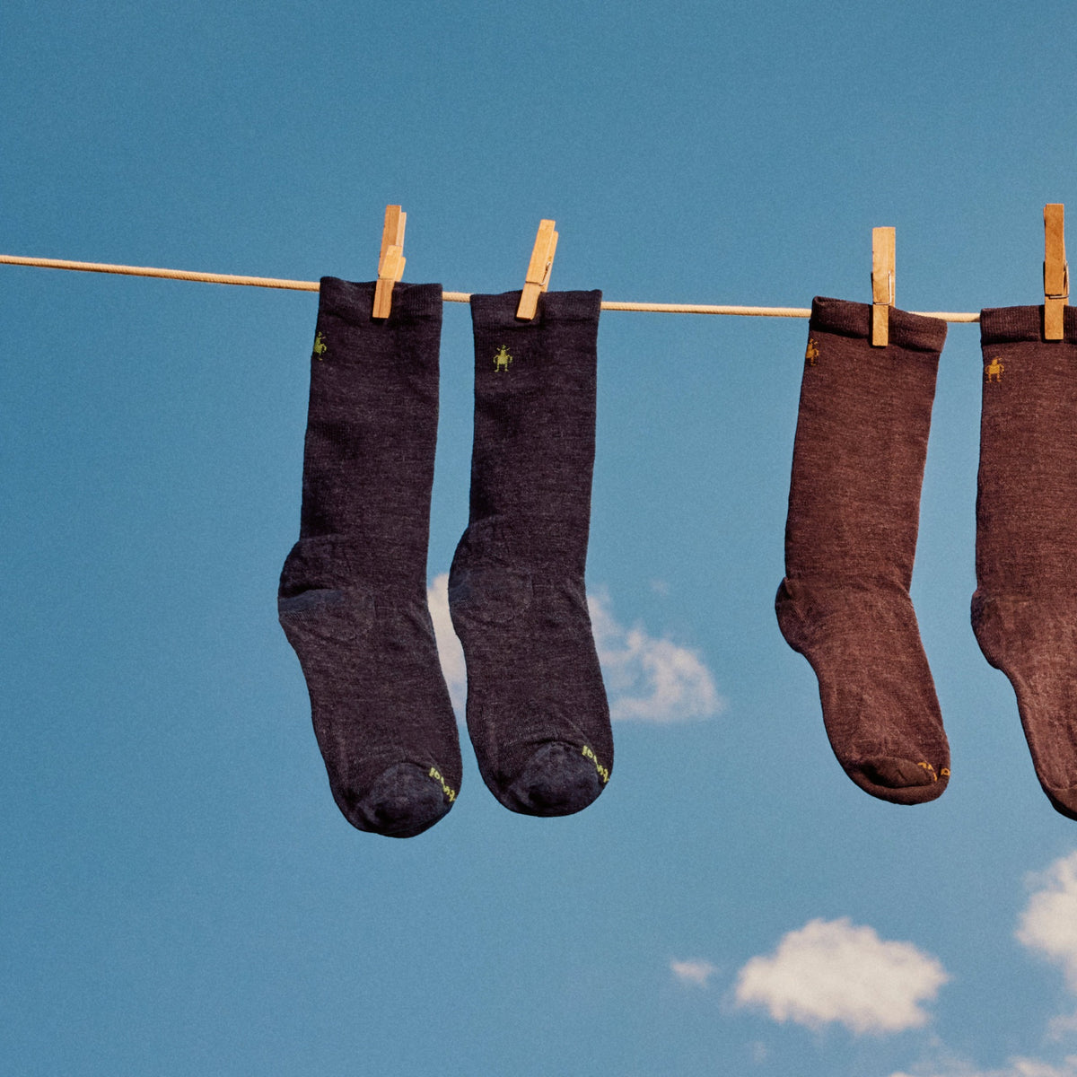 Smartwool Everyday Anchor Line Crew Socks - 039_Light Gray