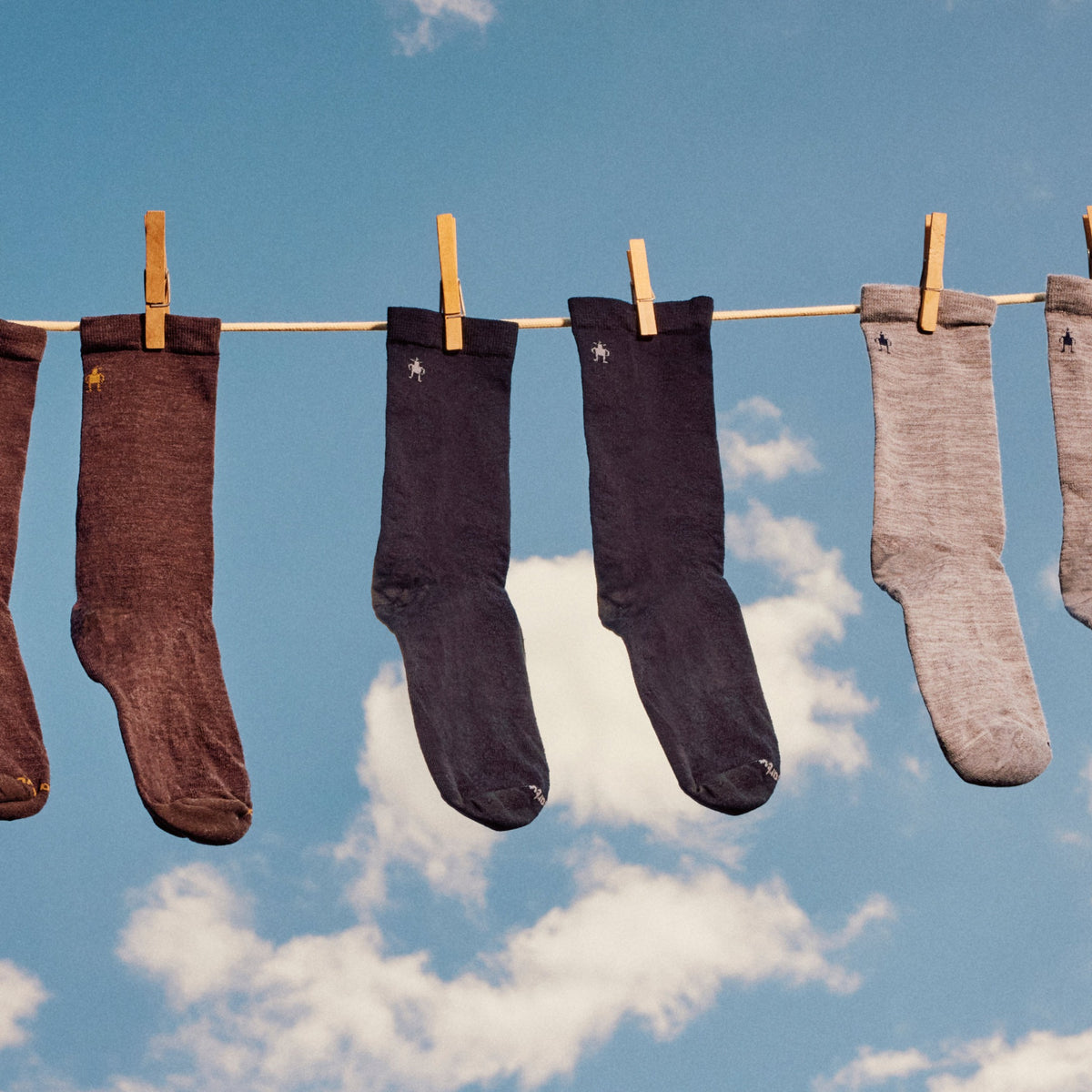Smartwool Everyday Anchor Line Crew Socks - 039_Light Gray