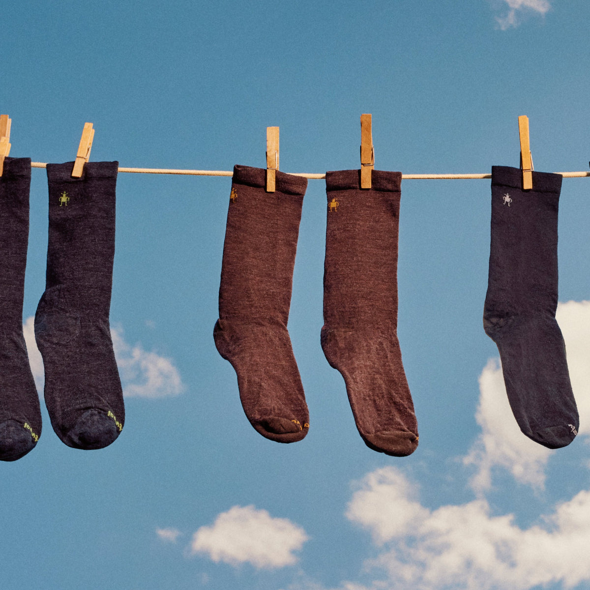 Smartwool Everyday Anchor Line Crew Socks - 039_Light Gray