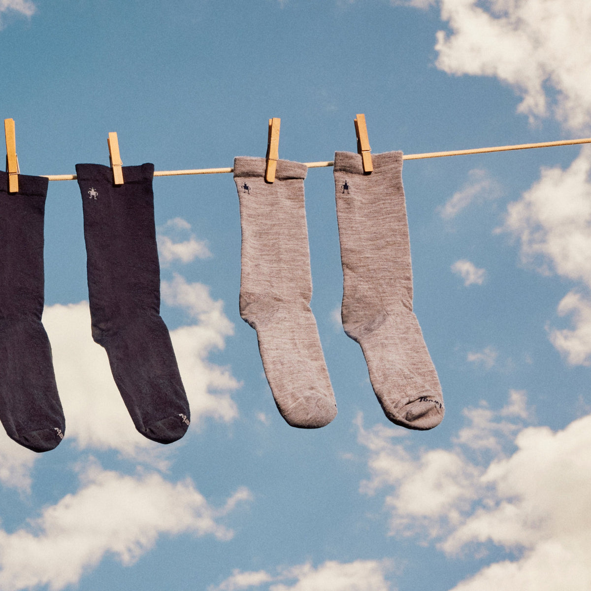 Smartwool Everyday Anchor Line Crew Socks - 039_Light Gray