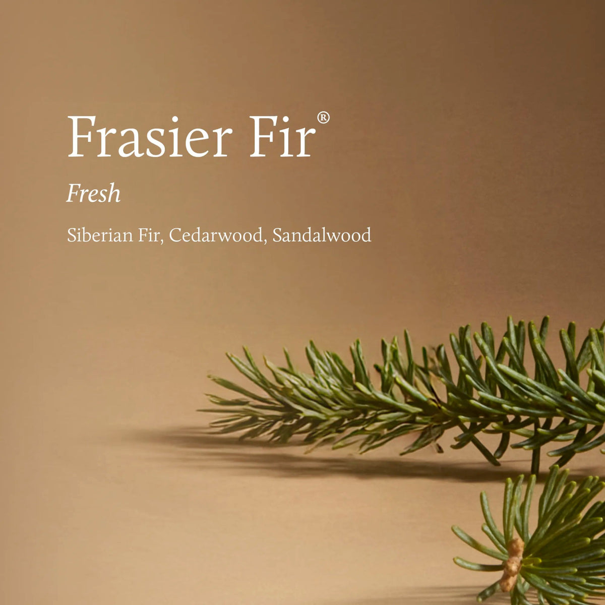 Frasier Fir Frasier Fir Tidings Petite Diffuser 4oz