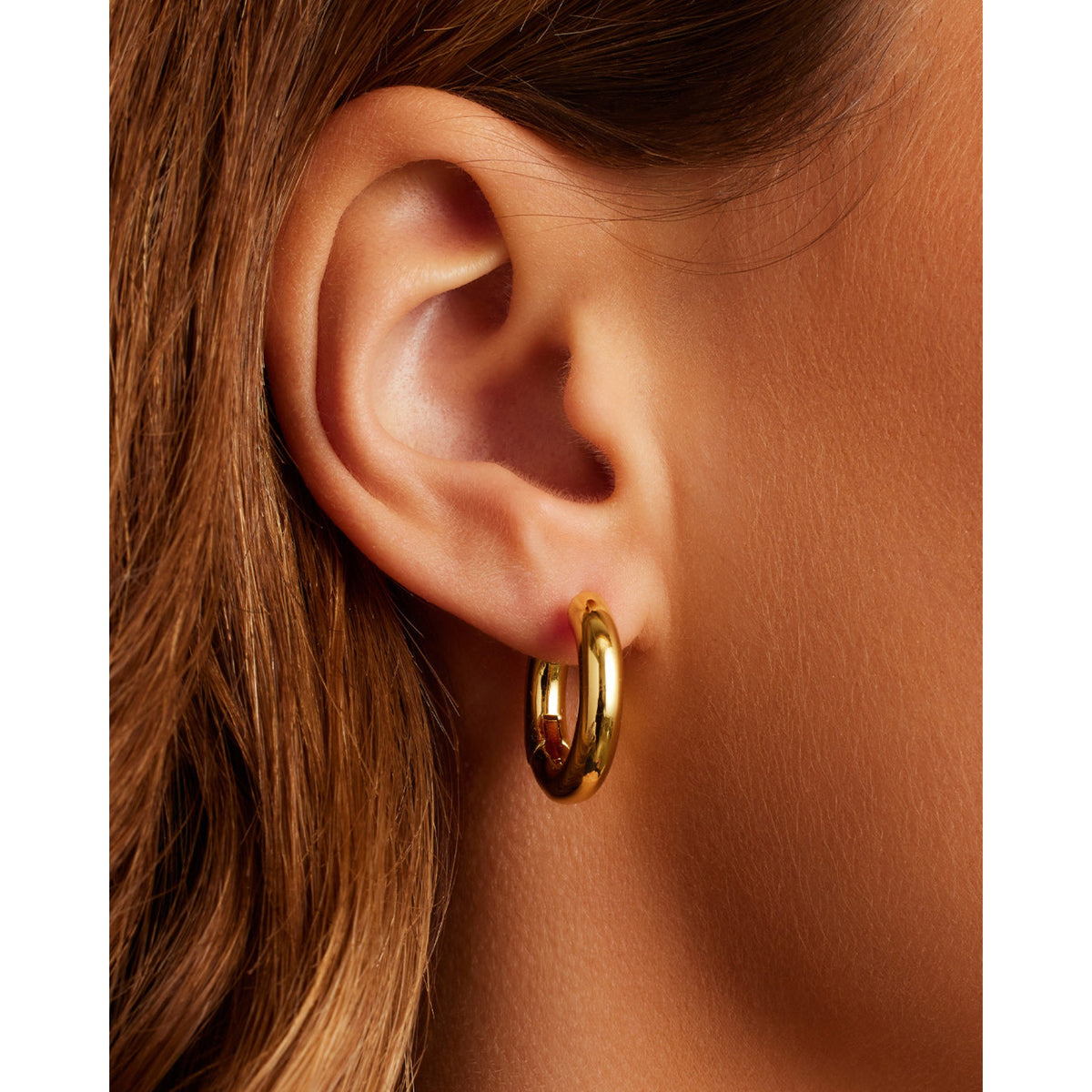 Gorjana Lou Hoops - Gold - Gold