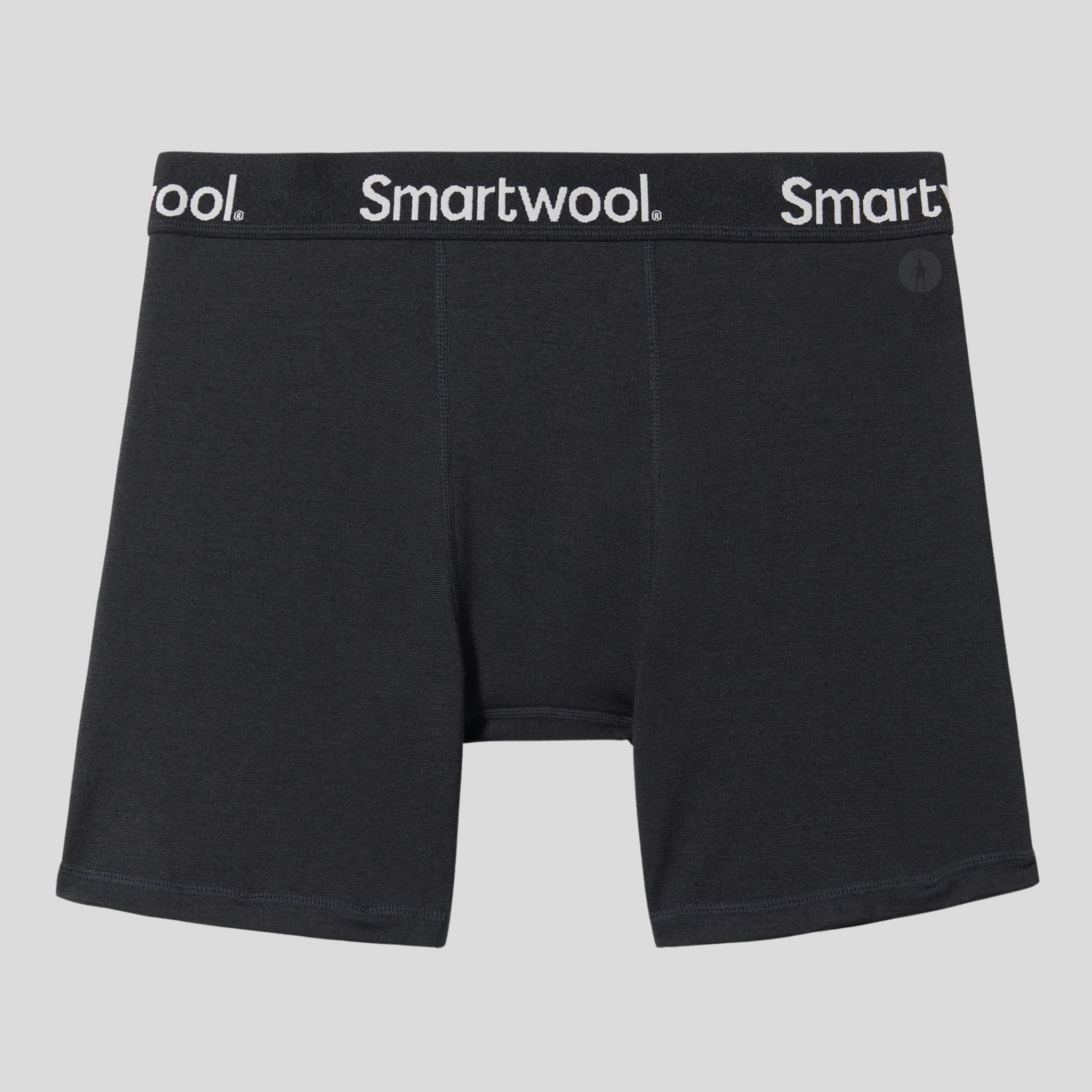 Smart wool Mens Active Boxer Brief Boxed-Black
