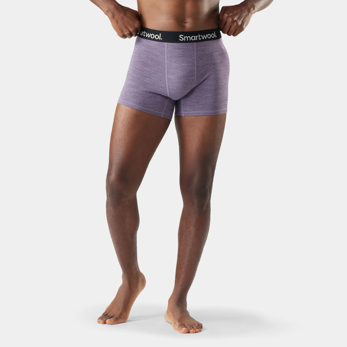 Smartwool Mens Active Boxer Brief Boxed-Purple Storm Heather