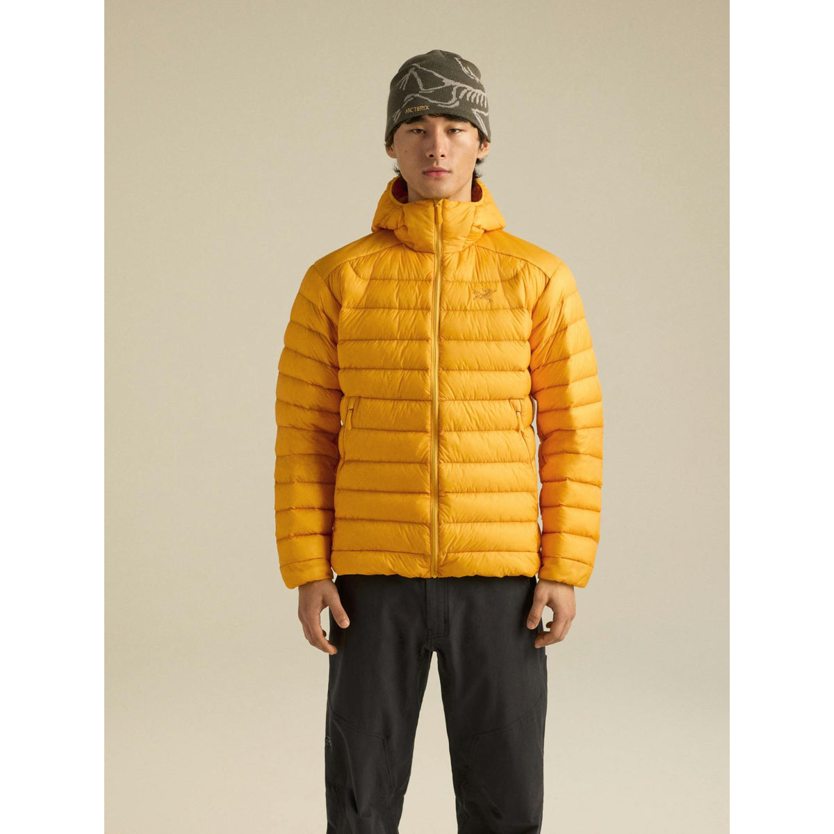 Arcteryx Mens Cerium Hoody F26 - Larch