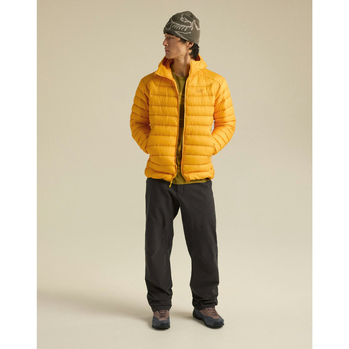 Arcteryx Mens Cerium Hoody F26 - Larch