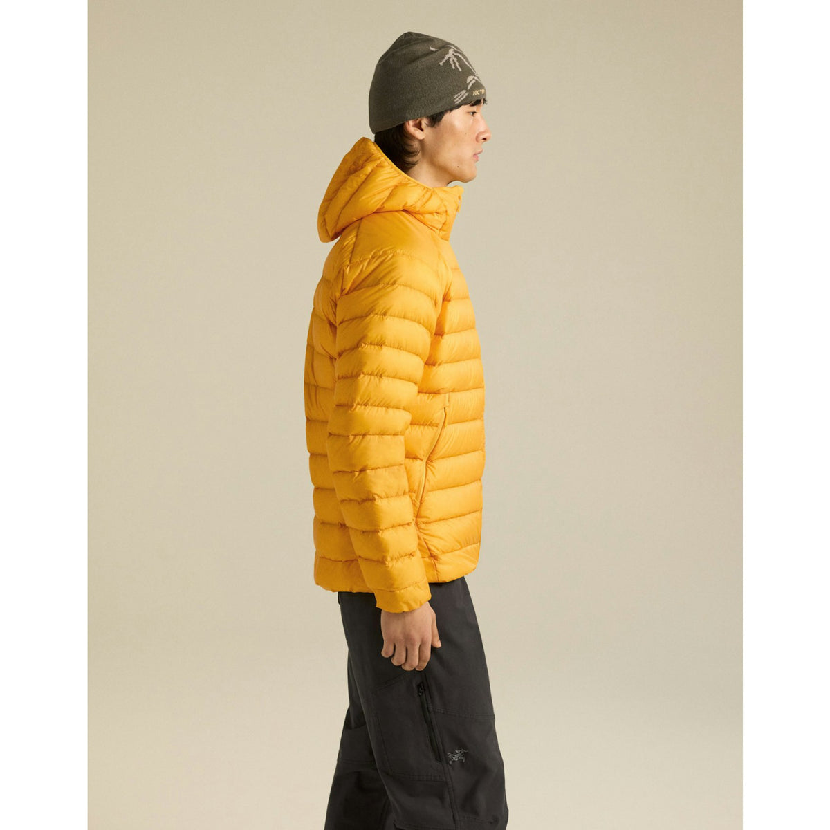 Arcteryx Mens Cerium Hoody F26 - Larch