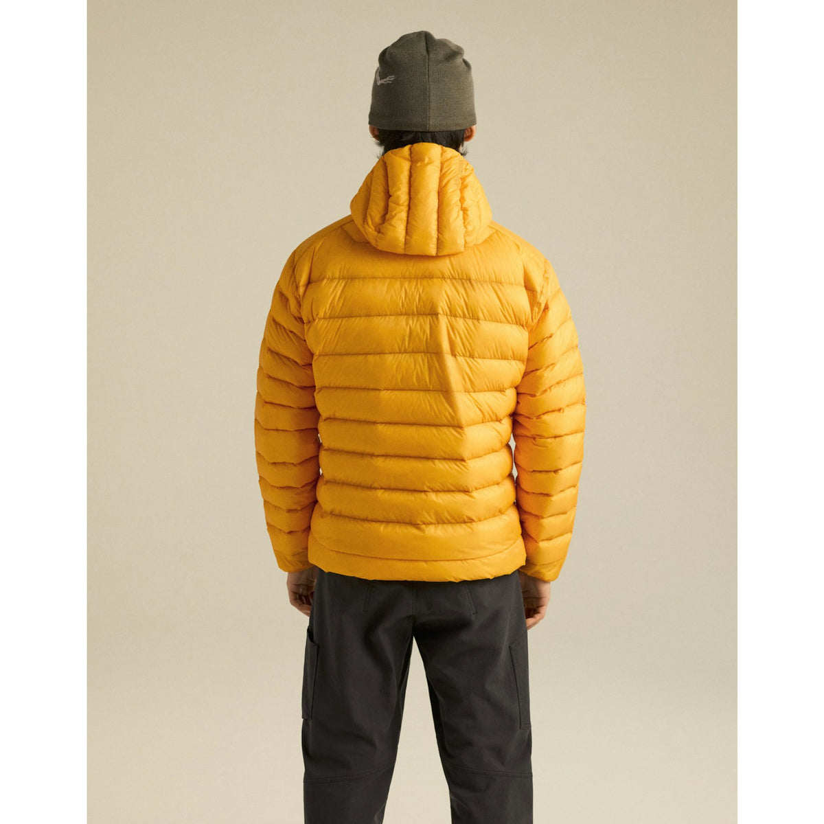 Arcteryx Mens Cerium Hoody F26 - Larch