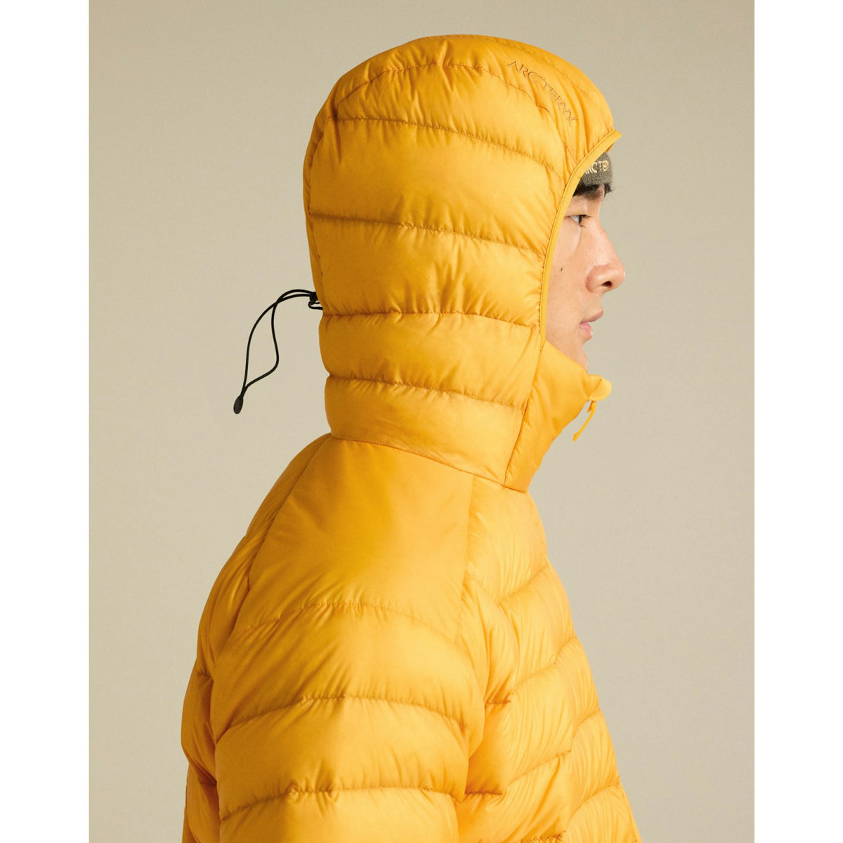 Arcteryx Mens Cerium Hoody F26 - Larch