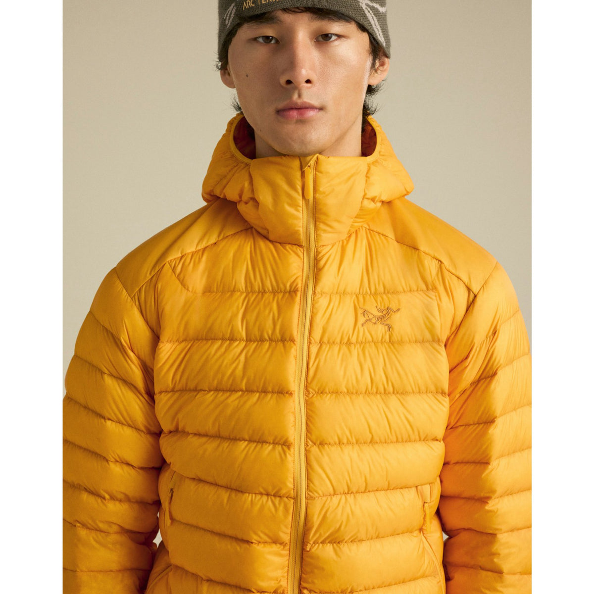 Arcteryx Mens Cerium Hoody F26 - Larch