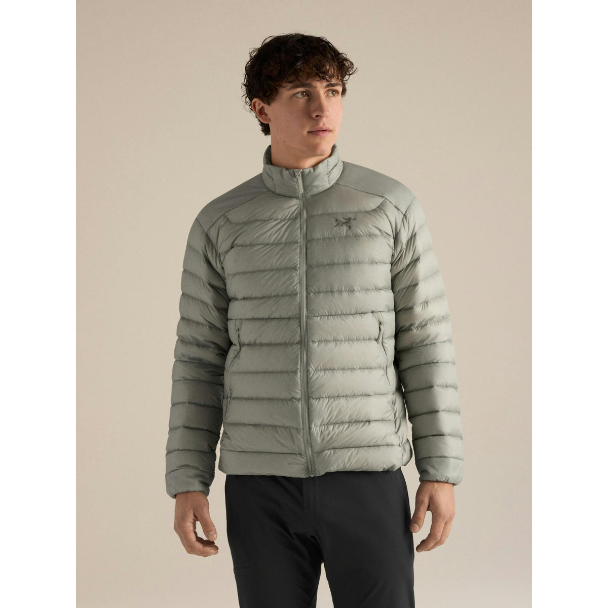 Arcteryx Mens Cerium Jacket F26