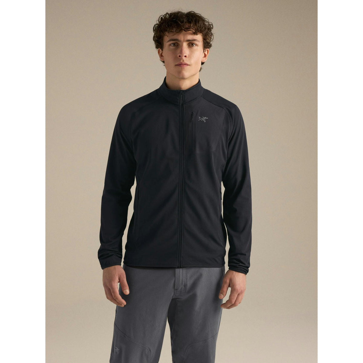 Arcteryx Mens Delta Jacket F26