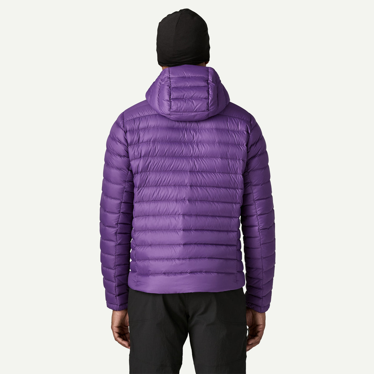 Patagonia Mens Down Sweater Hoody - Purple