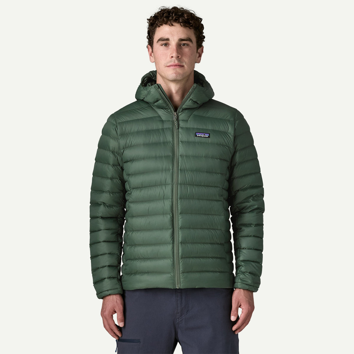 Patagonia Mens Down Sweater Hoody - Treeline Green