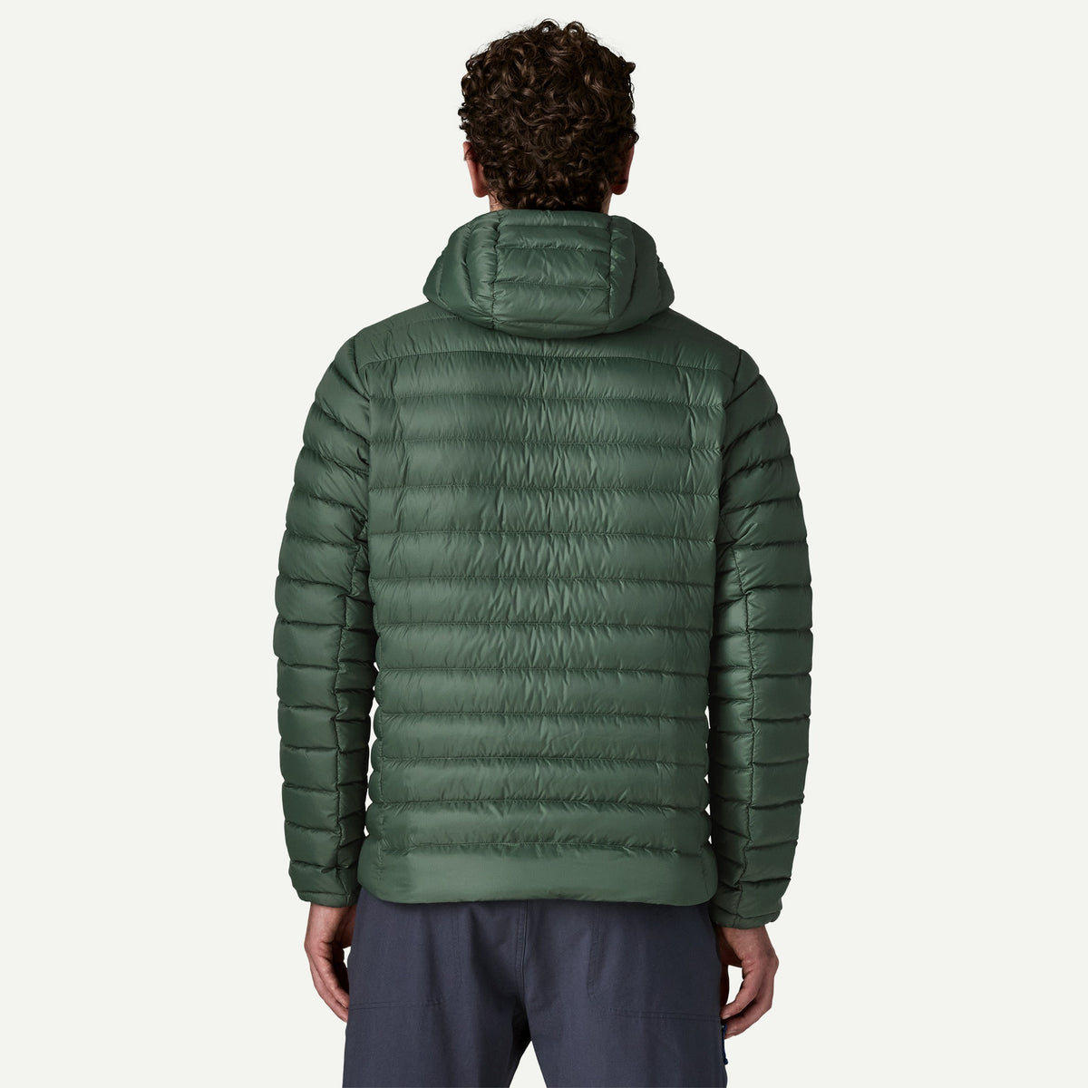 Patagonia Mens Down Sweater Hoody - Treeline Green