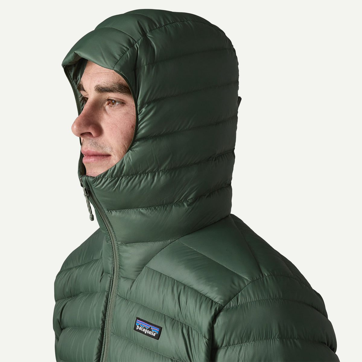 Patagonia Mens Down Sweater Hoody - Treeline Green
