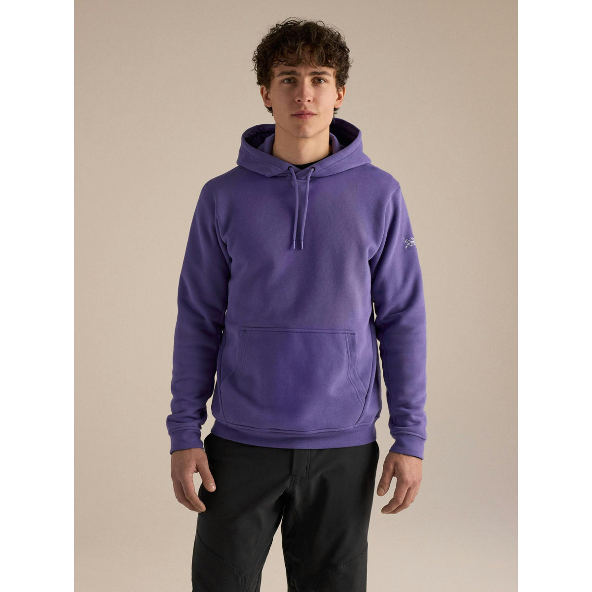 Arcteryx Mens Emblem Fleece Hoody F25