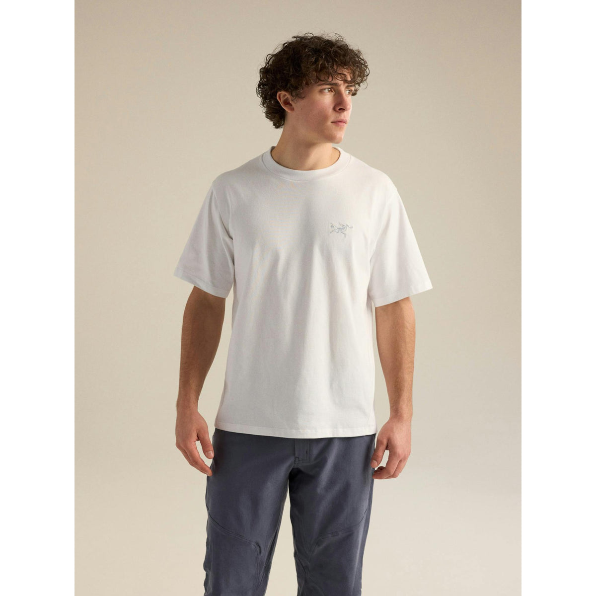 Arcteryx Mens Kragg Cotton Emblem Crew SS F26