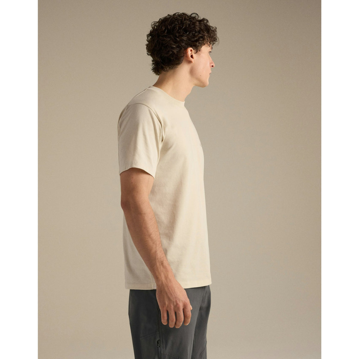 Arcteryx Mens Kragg SL Cotton Bird Word SS - Stratus