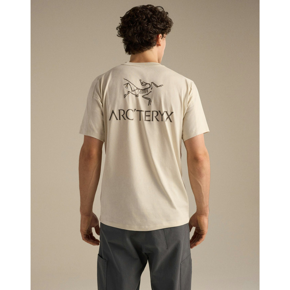 Arcteryx Mens Kragg SL Cotton Bird Word SS - Stratus