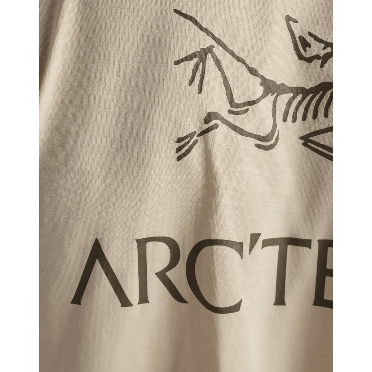 Arcteryx Mens Kragg SL Cotton Bird Word SS - Stratus