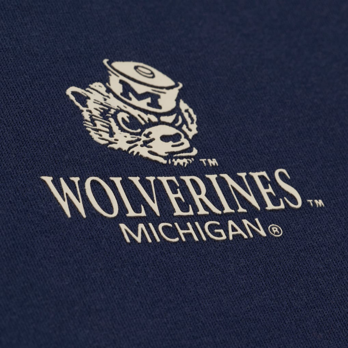 Mitchell & Ness Mens NCAA Core Essentials Fleece Hoodie Michigan Wolverines in Navy - Navy