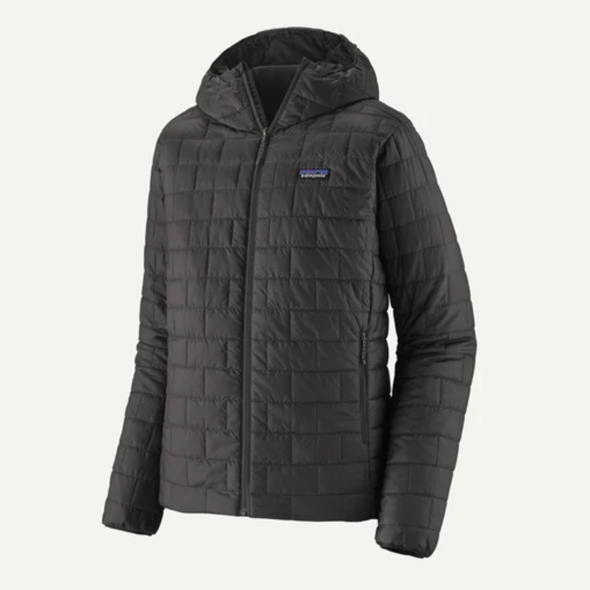 Patagonia Mens Nano Puff Hoody-Black